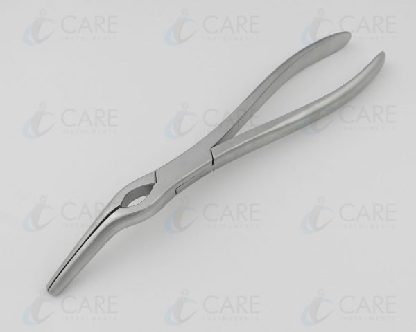 Asch Septum Straightening Forceps | 23cm