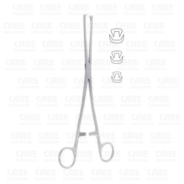 Museux Tenaculum Forceps