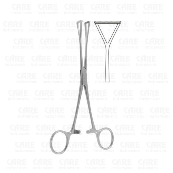 Duval Intestinal Forceps